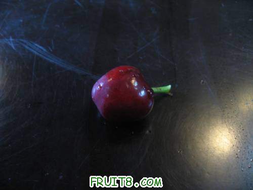 IMG_0958_copy.jpg