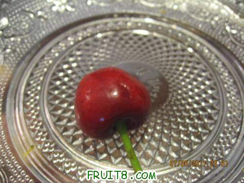 IMG_1003_copy.jpg