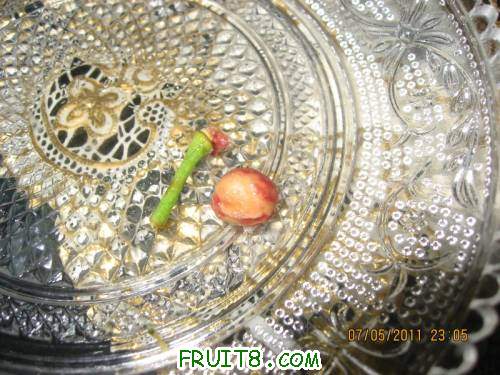 IMG_1009_copy.jpg