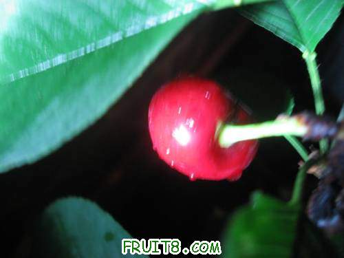 IMG_0941_copy.jpg
