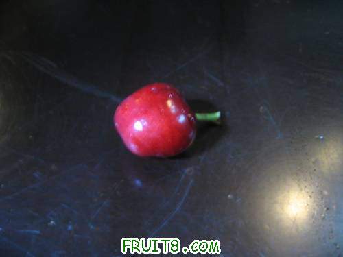 IMG_0962_copy.jpg