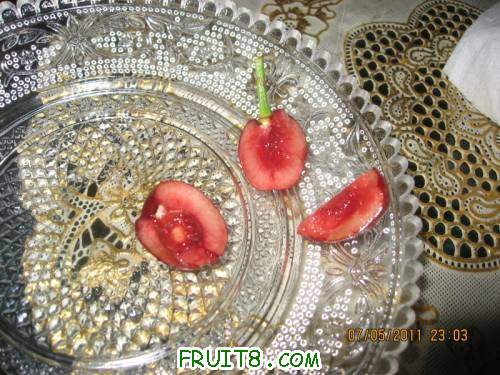 IMG_1005_copy.jpg