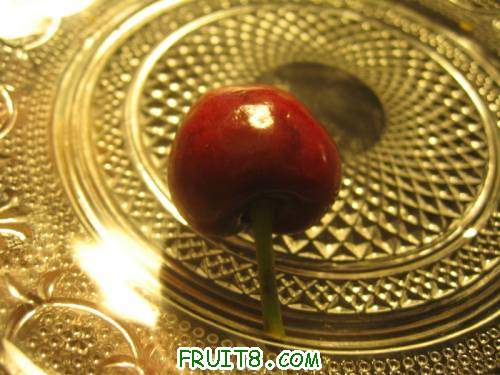 IMG_0979_copy.jpg