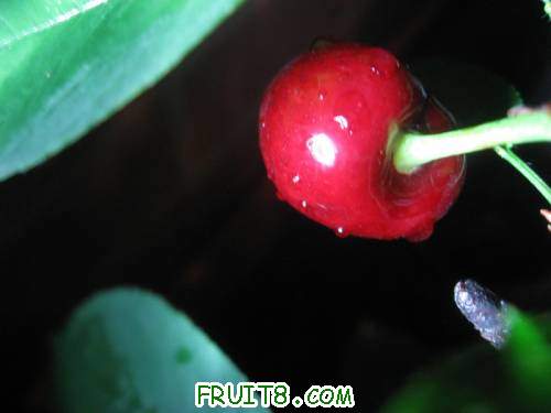 IMG_0945_copy.jpg