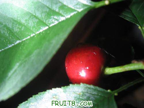 IMG_0938_copy.jpg