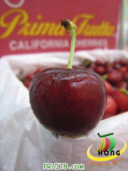 cherry2.jpg