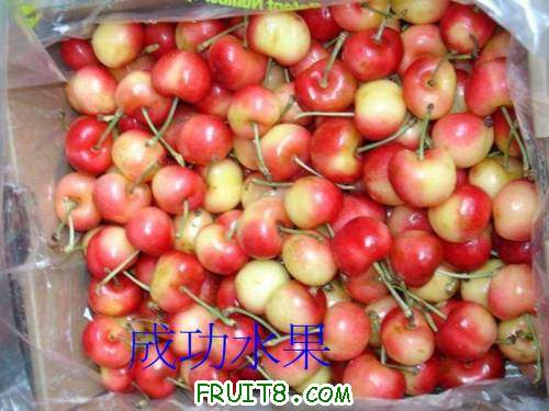 cherry8.jpg