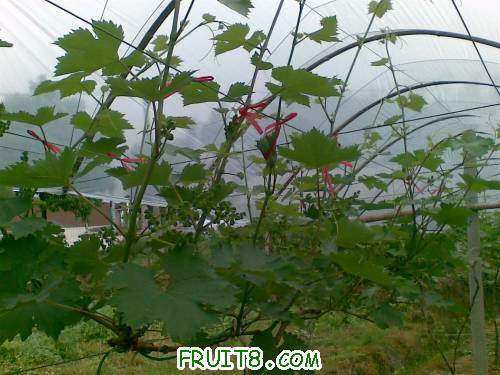 20110501.jpg
