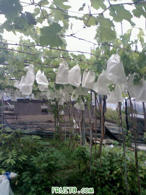 20110512124656.jpg