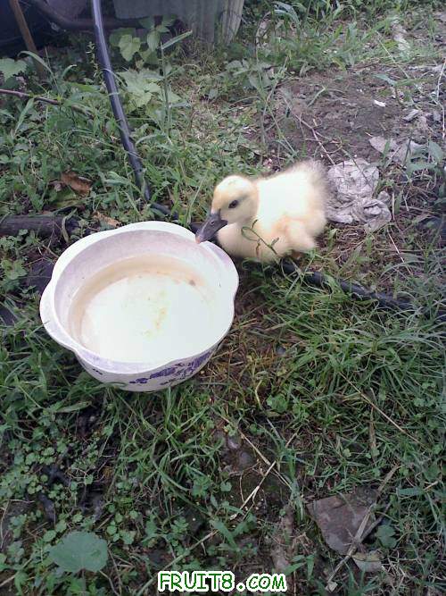 20110512124758.jpg