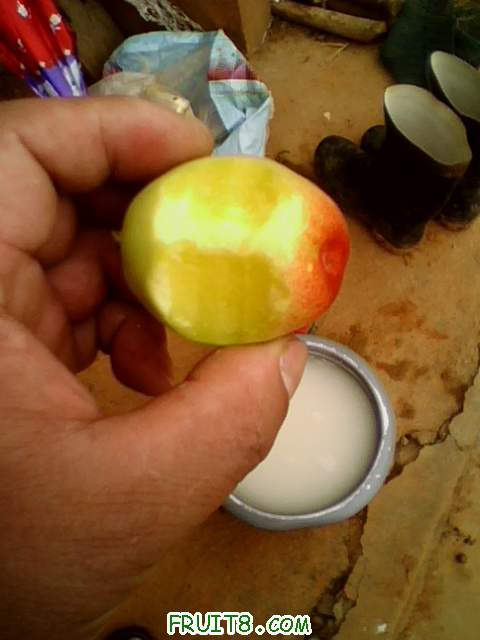 IMG0721A.jpg