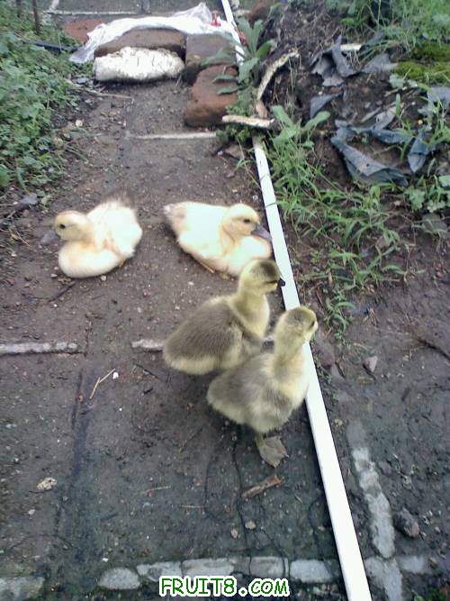 20110515162125.jpg