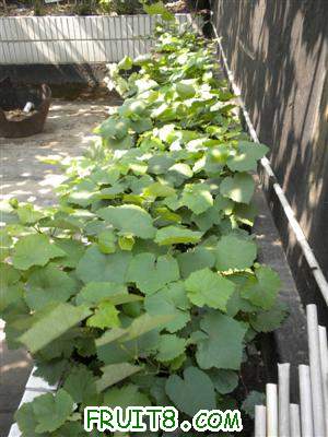 ���� DSCN0821.jpg