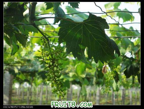 nEO_IMG_DSC00324.jpg