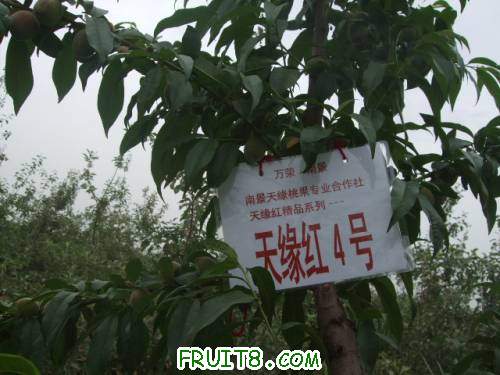 2011519Ʒ 006.jpg