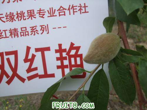 2011519Ʒ 009.jpg