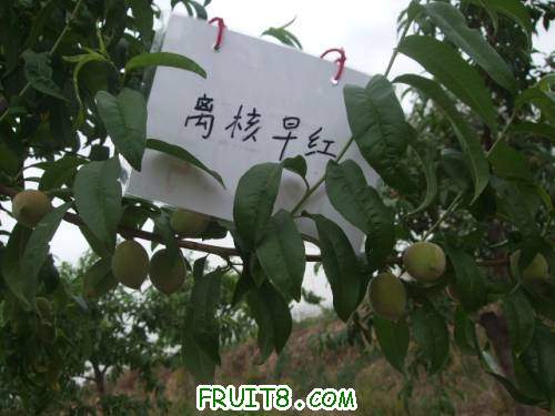 2011519Ʒ 013.jpg