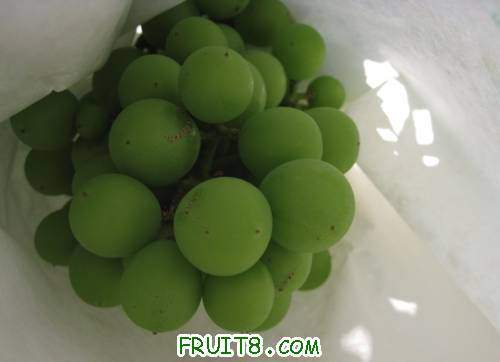 20110518-͵����ͼ04.jpg