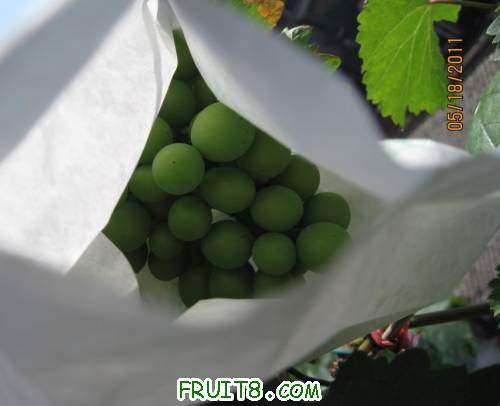20110518-͵����ͼ03.jpg
