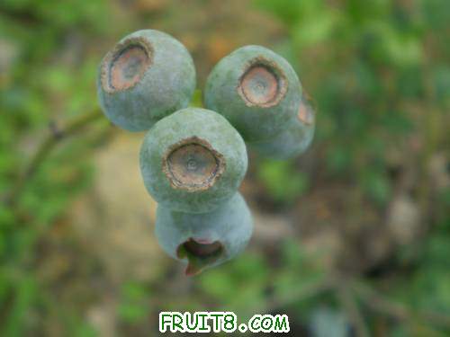 ����   ��������ȵ�