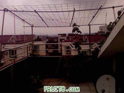 1105041852fb9ce1d119ca94dd[1].jpg
