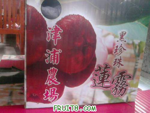 Ƭ0776.jpg