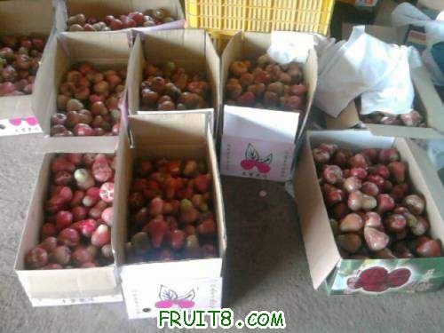 Ƭ0769.jpg