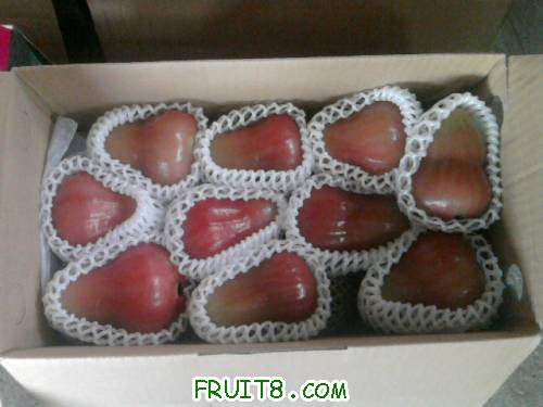 Ƭ0773.jpg