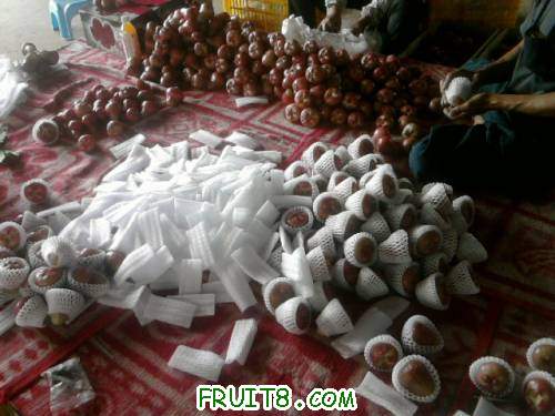 Ƭ0774.jpg
