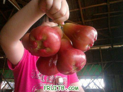 Ƭ0765.jpg