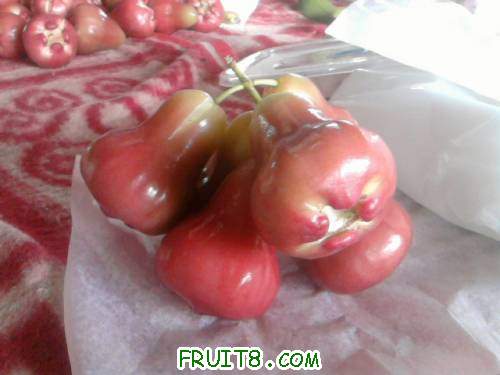 Ƭ0766.jpg