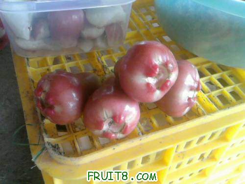 Ƭ0764.jpg