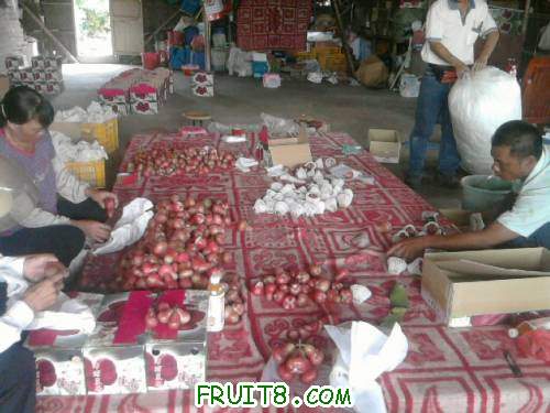 Ƭ0768.jpg