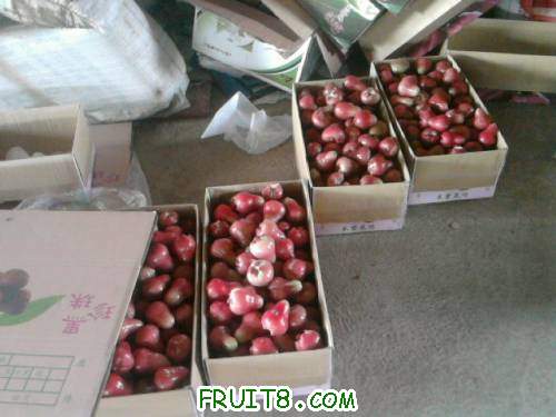 Ƭ0770.jpg