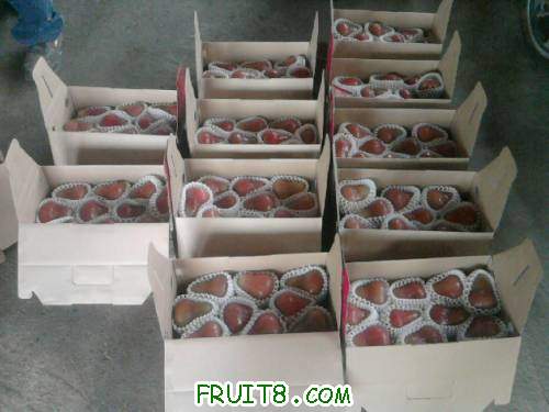 Ƭ0772.jpg