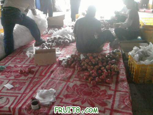 Ƭ0771.jpg