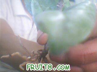 ͼƬ 004.jpg