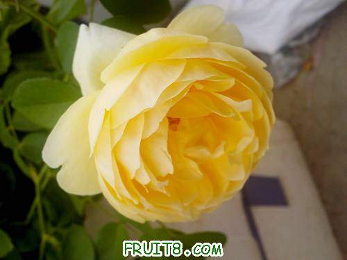 picture_0626.jpg