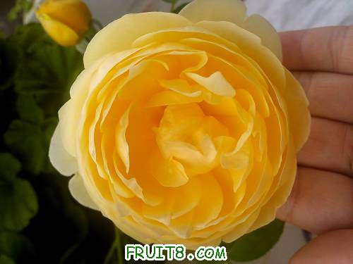picture_0627.jpg