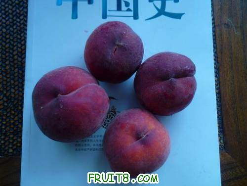 С P1010131.JPG