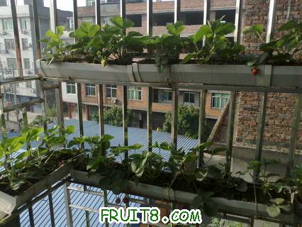 201105261003.jpg
