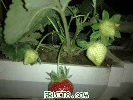 201105291041.jpg