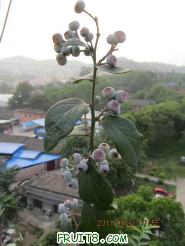 IMG_5946.JPG