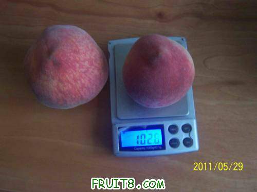 С 100_5125.JPG