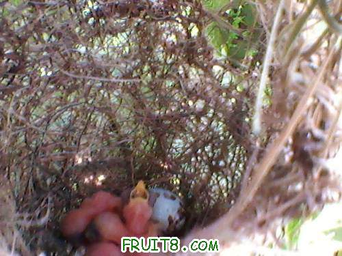 Ƭ032.jpg