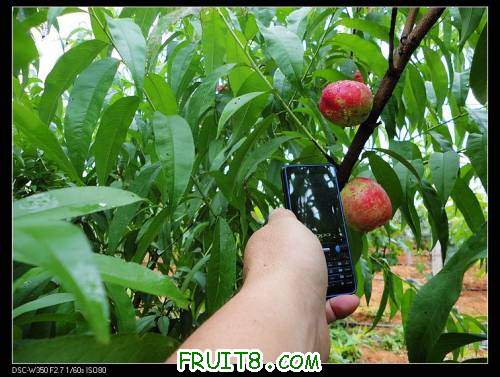 nEO_IMG_DSC00433.jpg