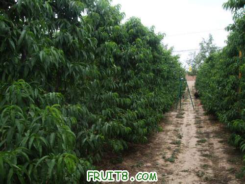 6�·���������԰ 004.jpg