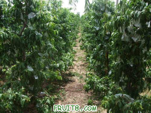 6�·���������԰ 009.jpg