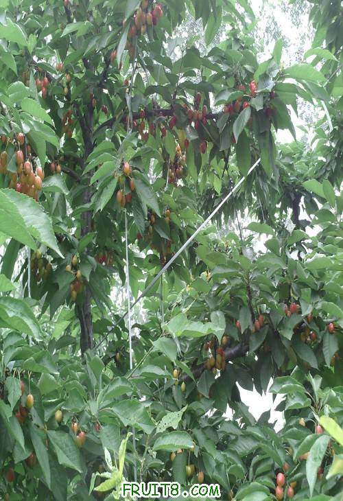 SUNP0073(1).JPG