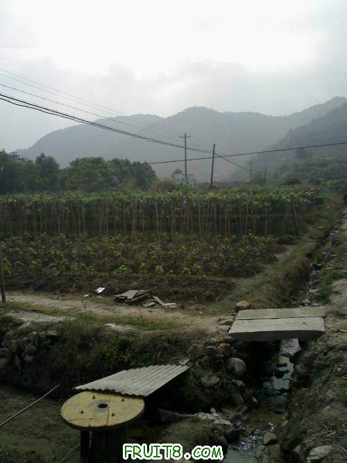 20110604093356.jpg